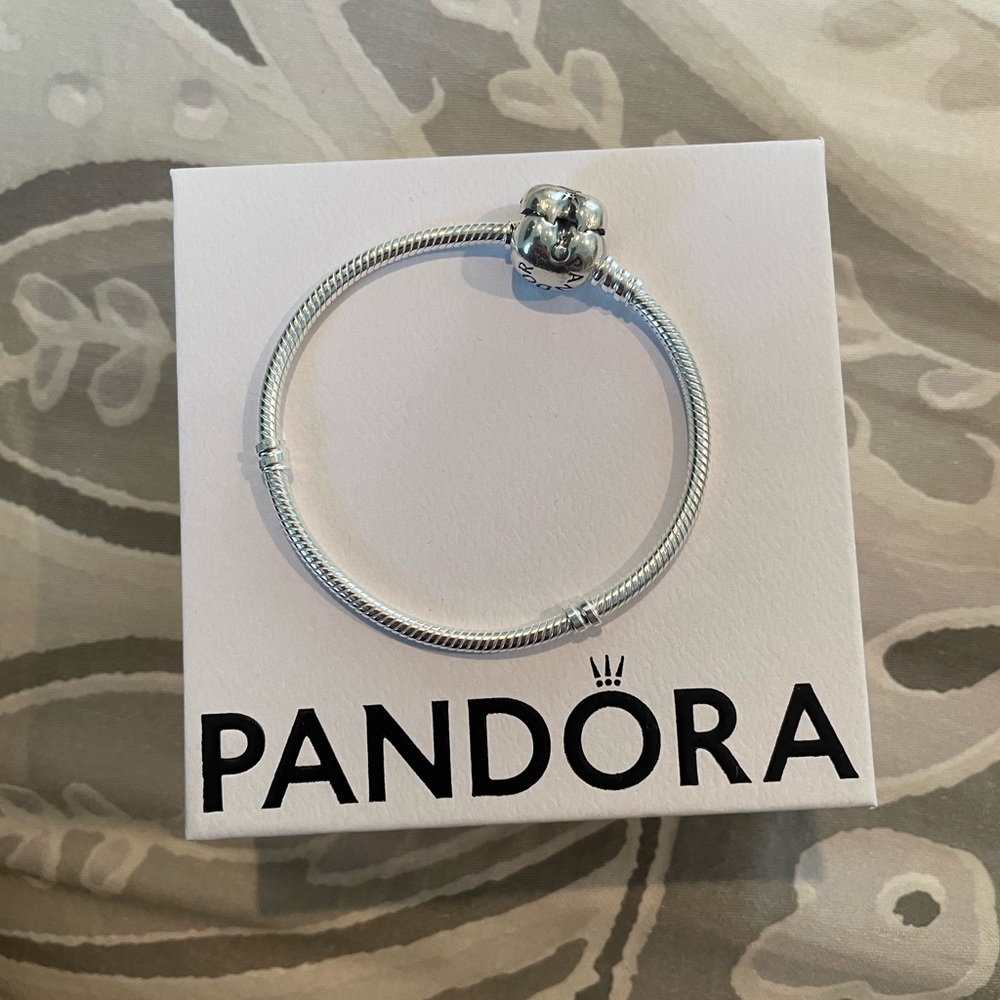 Pandora Charm Bracelet